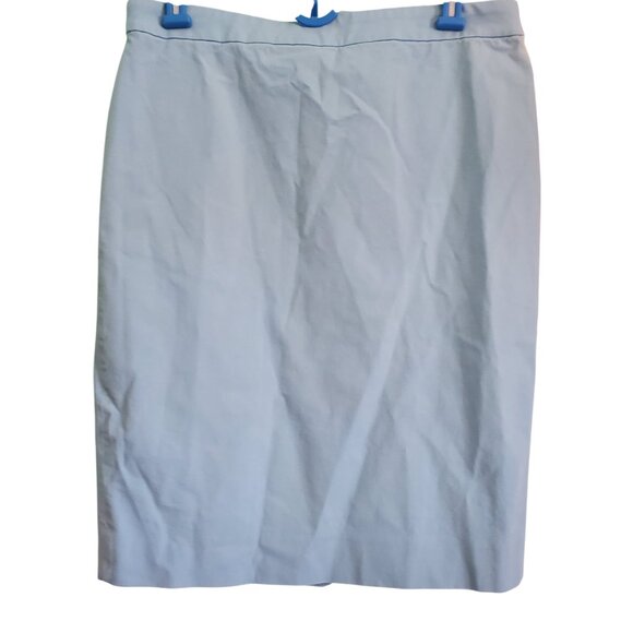 J. Crew Pastel Blue No. 2 Pencil Skirt Women's Size 10  Quirky Twee 2010s - Picture 1 of 14